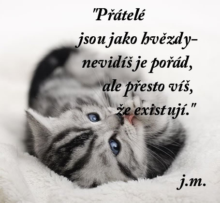 Přátelství jako hvězdy
