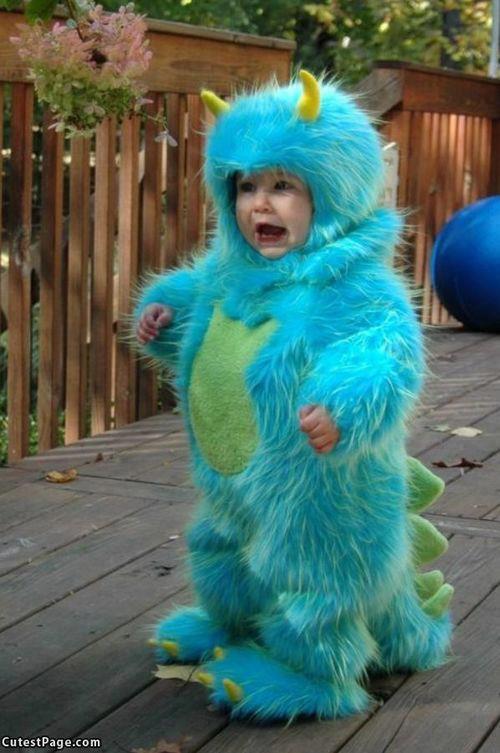 images82